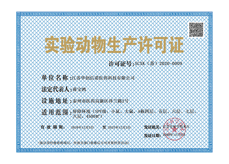 視頻預(yù)覽